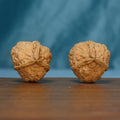 Pair of L40 Three-Ridge Iron Walnuts showing prominent raised ridges

