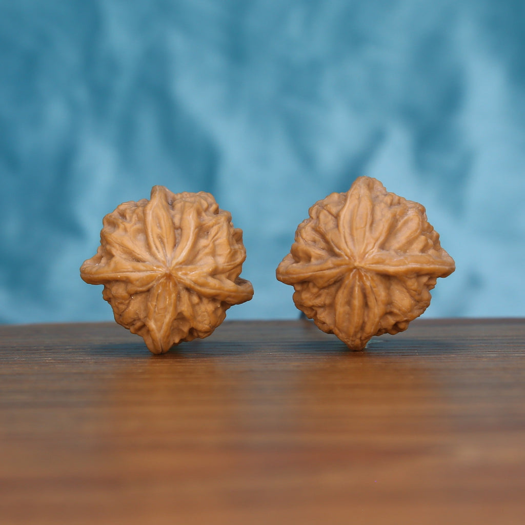 Single Qi-Da-Hai Si-Leng wenwan walnut on wooden surface, blue background – bold geometric natural texture close-up