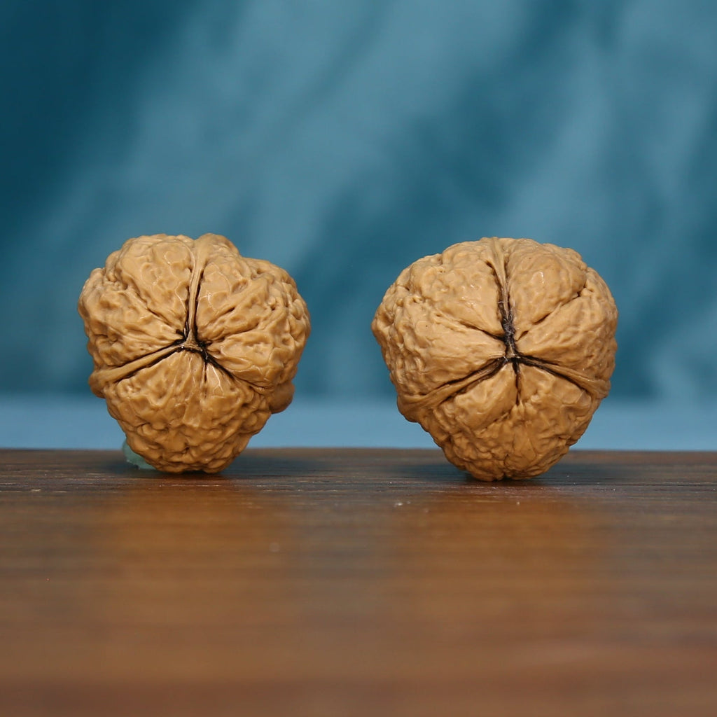 Base view of the L40 Three-Ridge Iron Walnut pair showing radiating grooves
