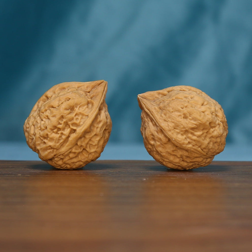 Side view of two L40 Three-Ridge Iron Walnuts with textured tan surfaces
