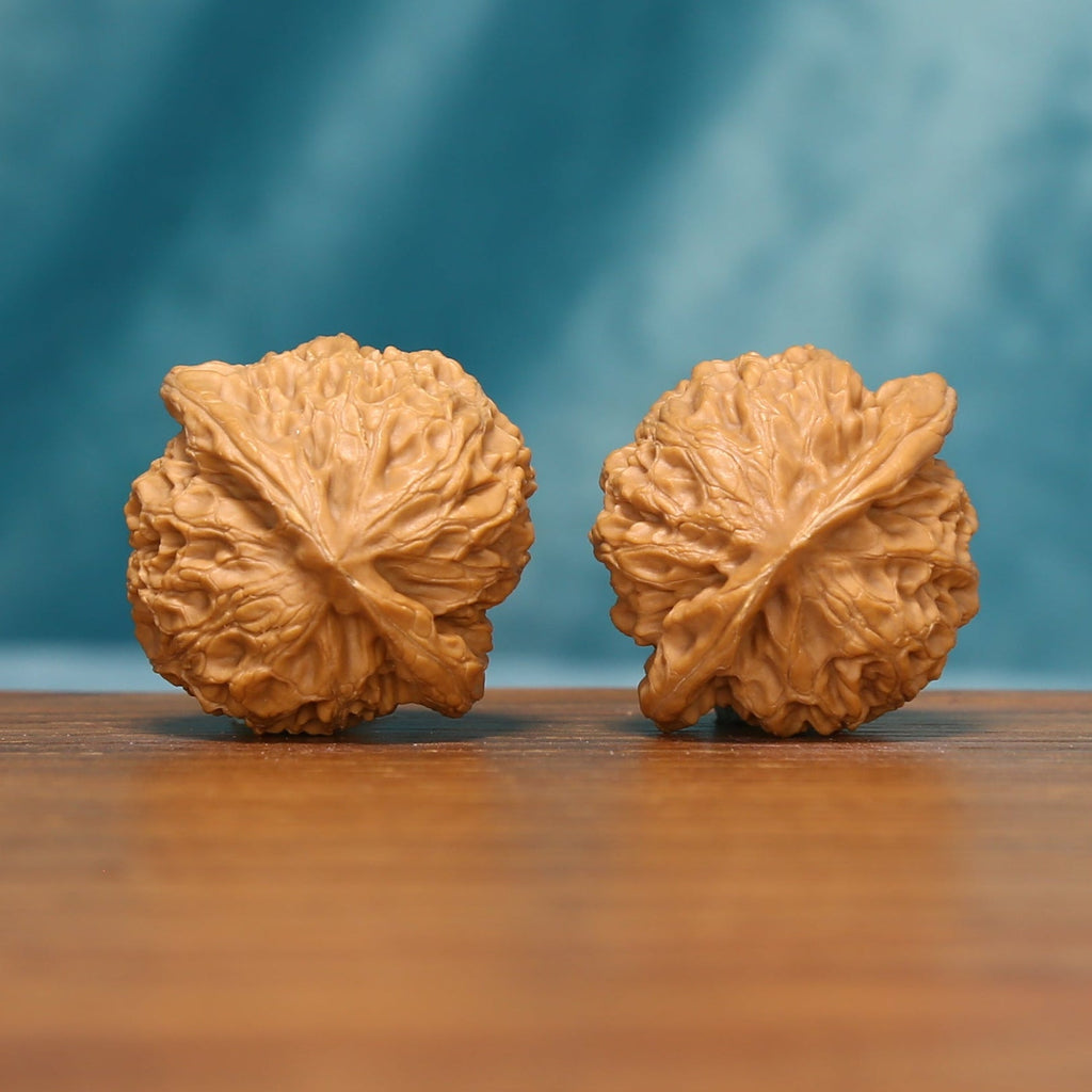 L20 Wenwan walnut pair shown from the side, highlighting radiating ridges and sculpted shell surfaces.
