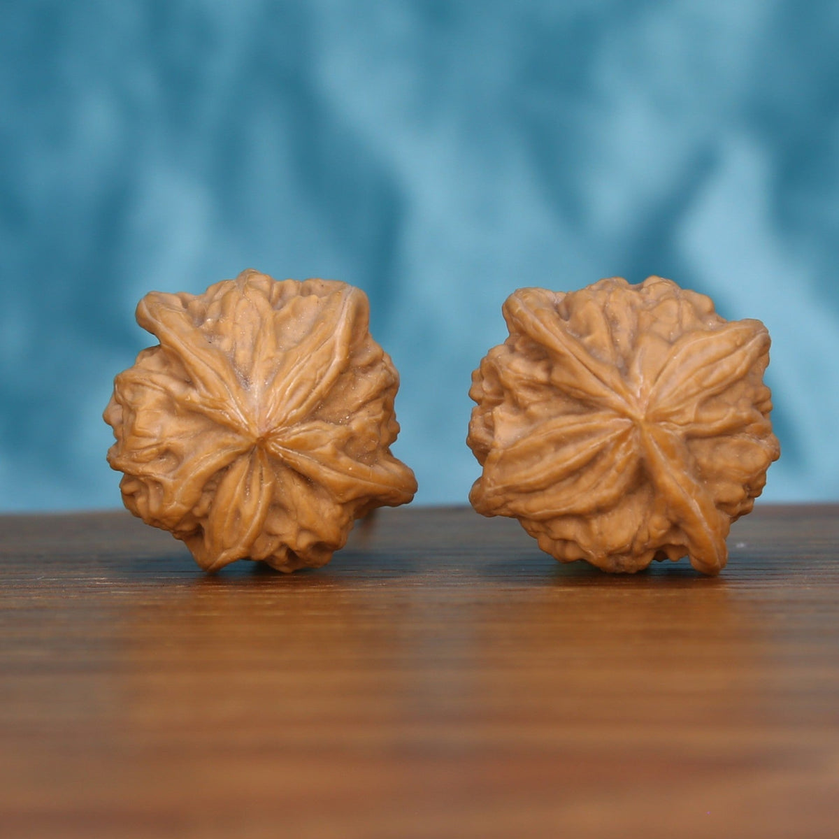 Qi-Da-Hai Si-Leng wenwan walnut pair alternate angle, blue background – symmetrical geometric monolith ridge pattern