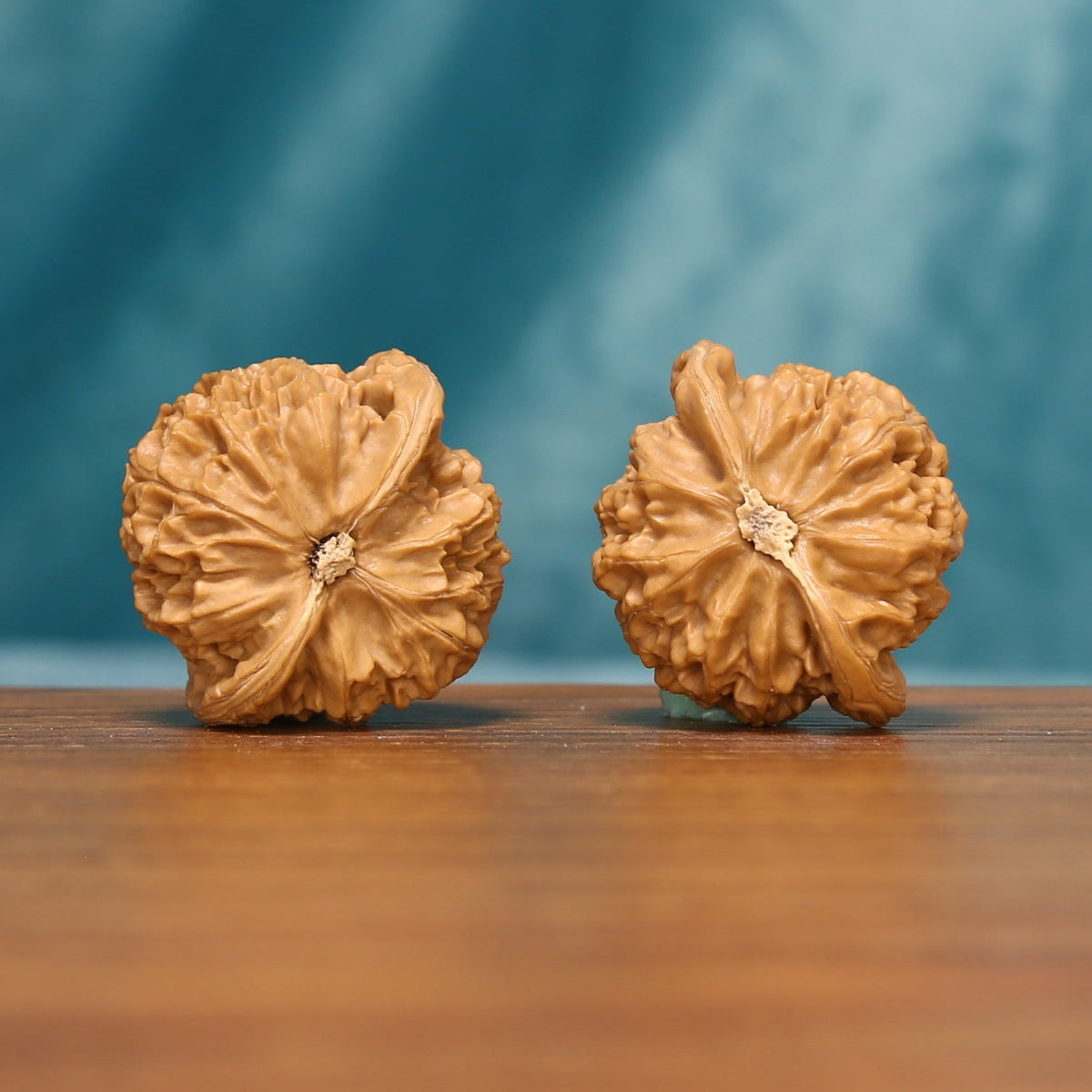 L20 Wenwan walnut pair shown from below, highlighting the natural base patterns and radiating ridges.
