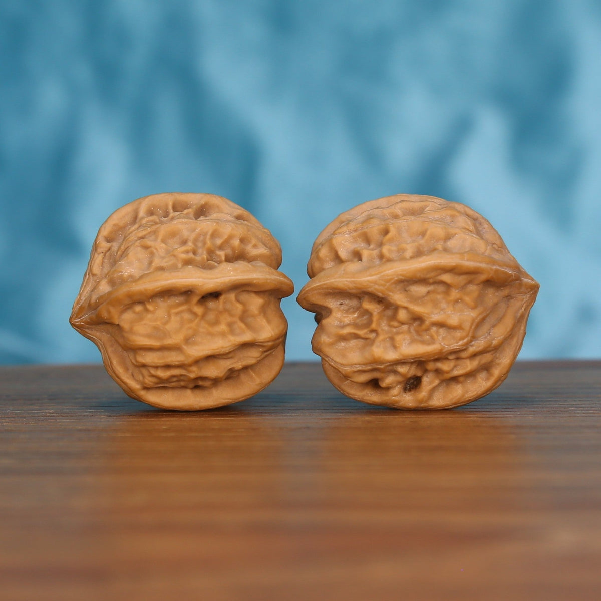Qi-Da-Hai Si-Leng walnut set side profile on wood, blue background – geometric four-ridge monolith grain detail