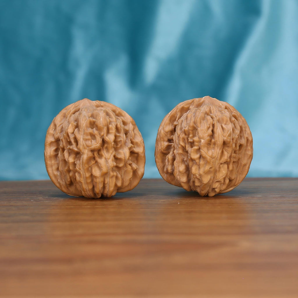 W7583 Spherical Bloom walnut duo front view – 40mm well-rounded palm-fit and thick main rib texture
