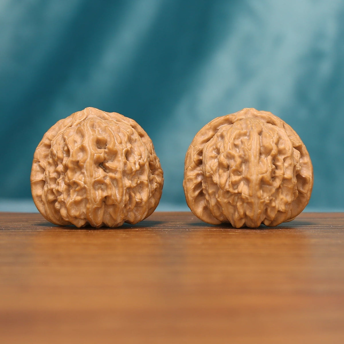 Front view of The Ivory Lion Wenwan Walnut Set showing two light-colored rounded walnuts with dense natural ridges.
