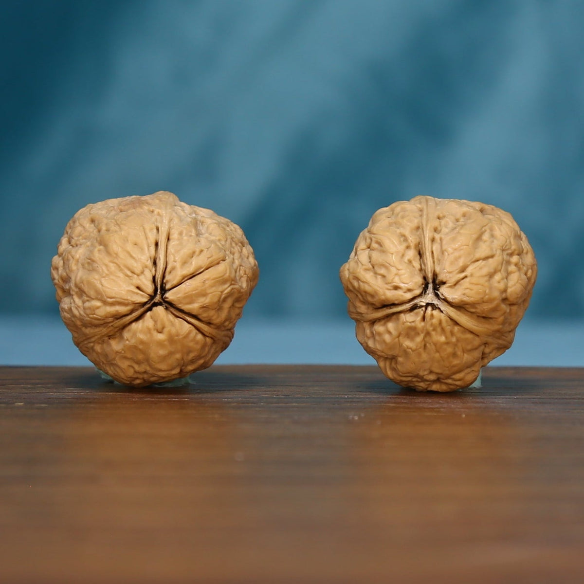 L41 Three-Ridge Iron Walnut pair viewed from the base, showing radiating grooves
