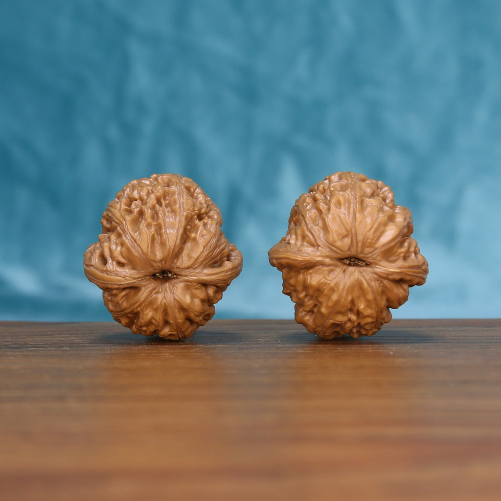 Bottom view of a matched Pinggu Yuanbao Wenwan walnut pair showing natural base details
