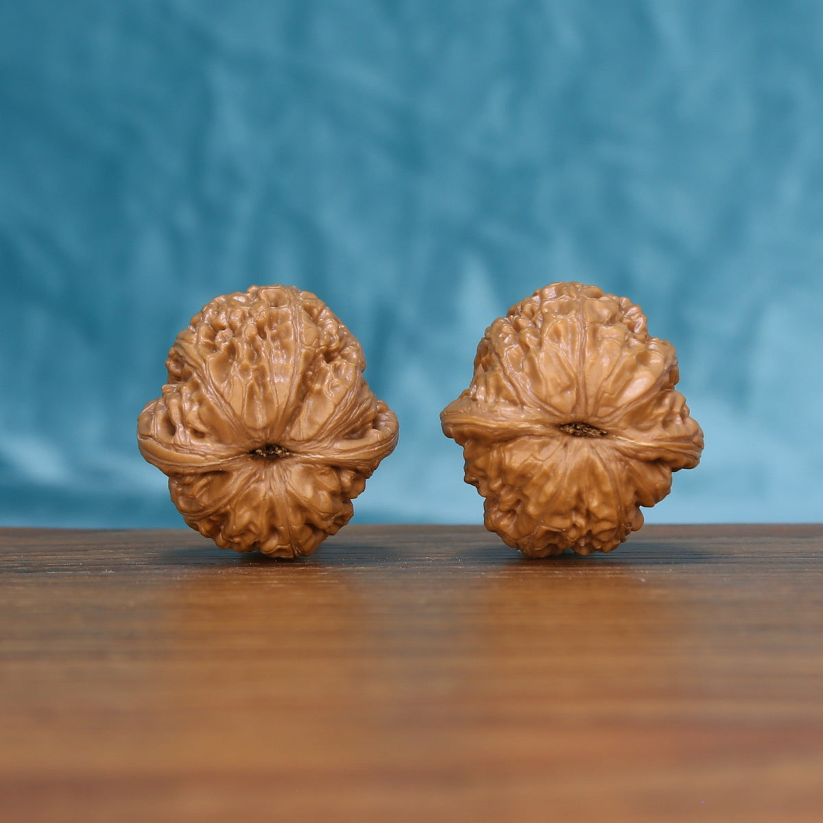Bottom view of a matched Pinggu Yuanbao Wenwan walnut pair showing natural base details
