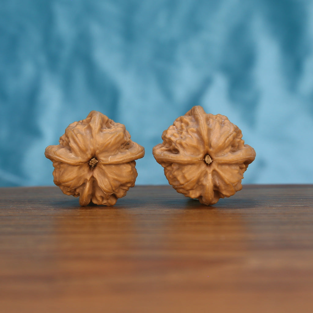 Qi-Da-Hai Si-Leng walnut pair bottom view on wood – natural four-ridge base pattern, Geometric Monoliths premium set

