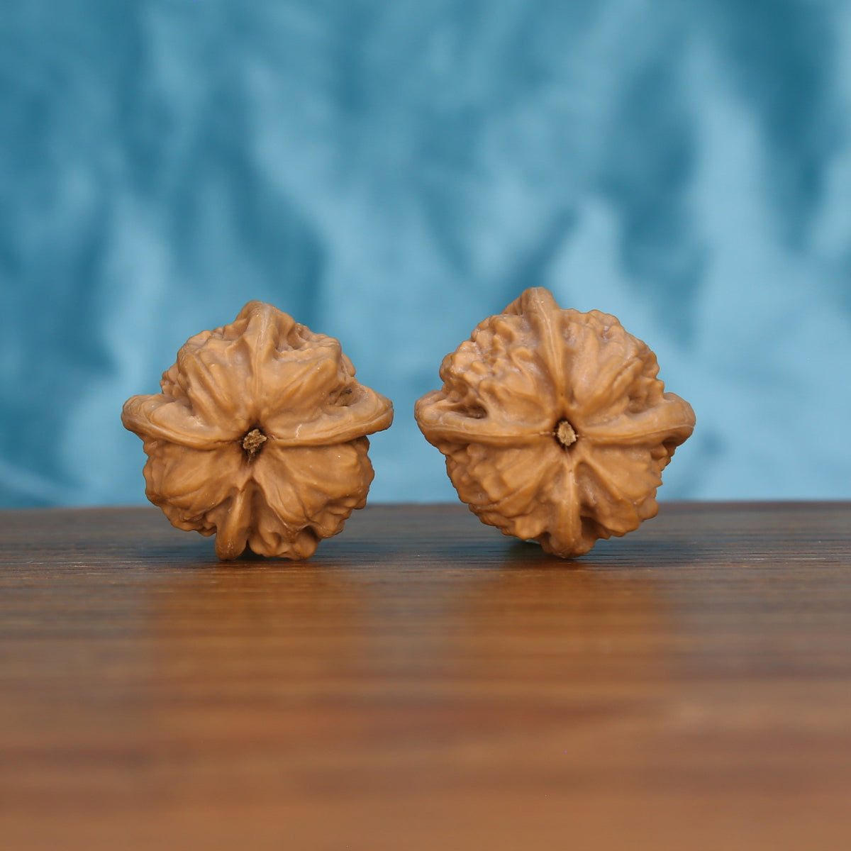 Qi-Da-Hai Si-Leng walnut pair bottom view on wood – natural four-ridge base pattern, Geometric Monoliths premium set

