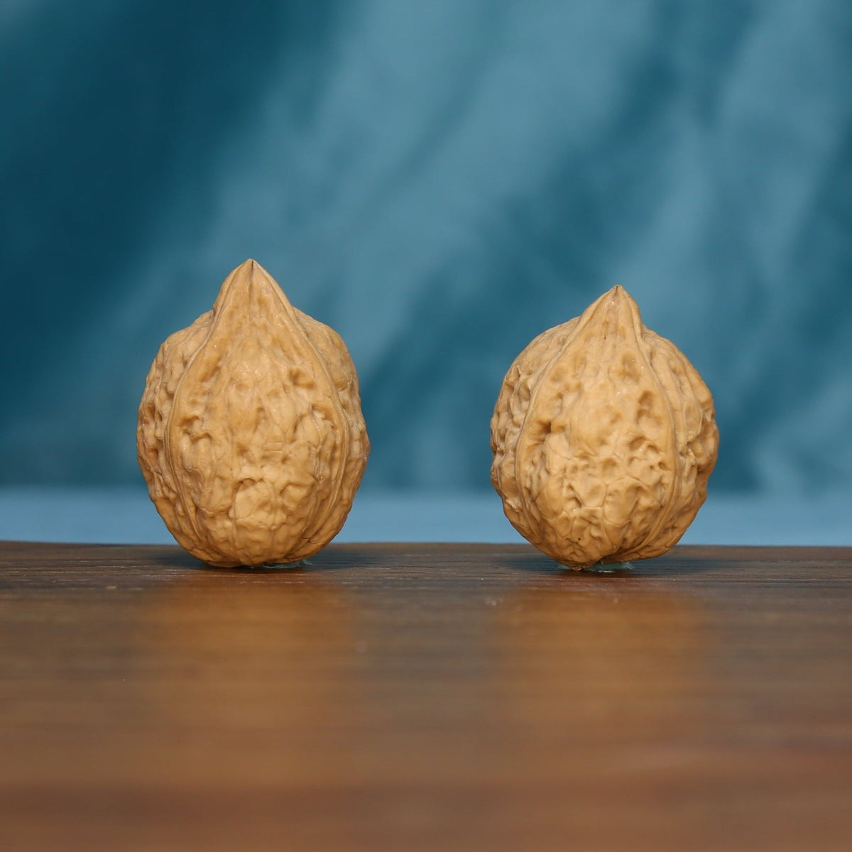 Upright view of two L41 Three-Ridge Iron Walnuts showing their tapered tops
