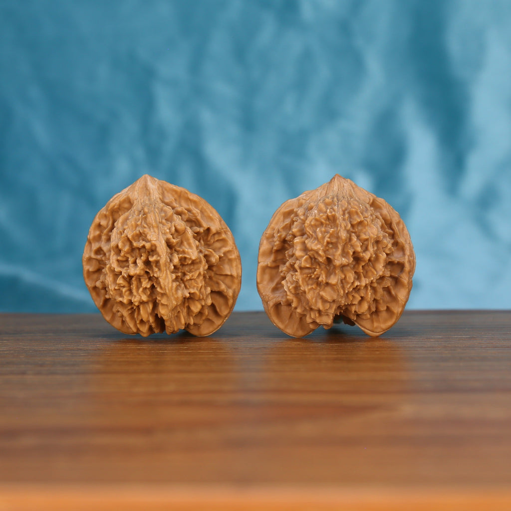 Two Man-Tian-Xing wenwan walnuts on wooden surface, blue fabric background – matching astral titan set