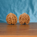Two Man-Tian-Xing wenwan walnuts on wooden surface, blue fabric background – matching astral titan set