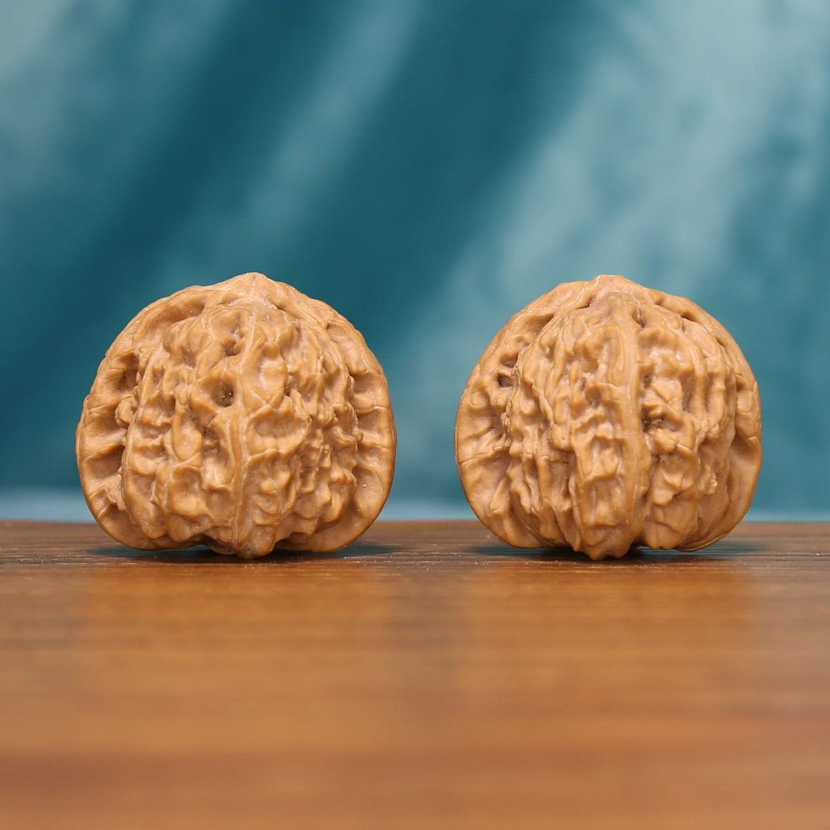 Angled front view of The Ivory Lion Wenwan walnuts highlighting their compact forms and warm ivory-brown color.
