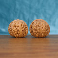 Pair of Pinggu Ingot wenwan walnuts with round full body and dense relief carving on a wood table against a blue background
