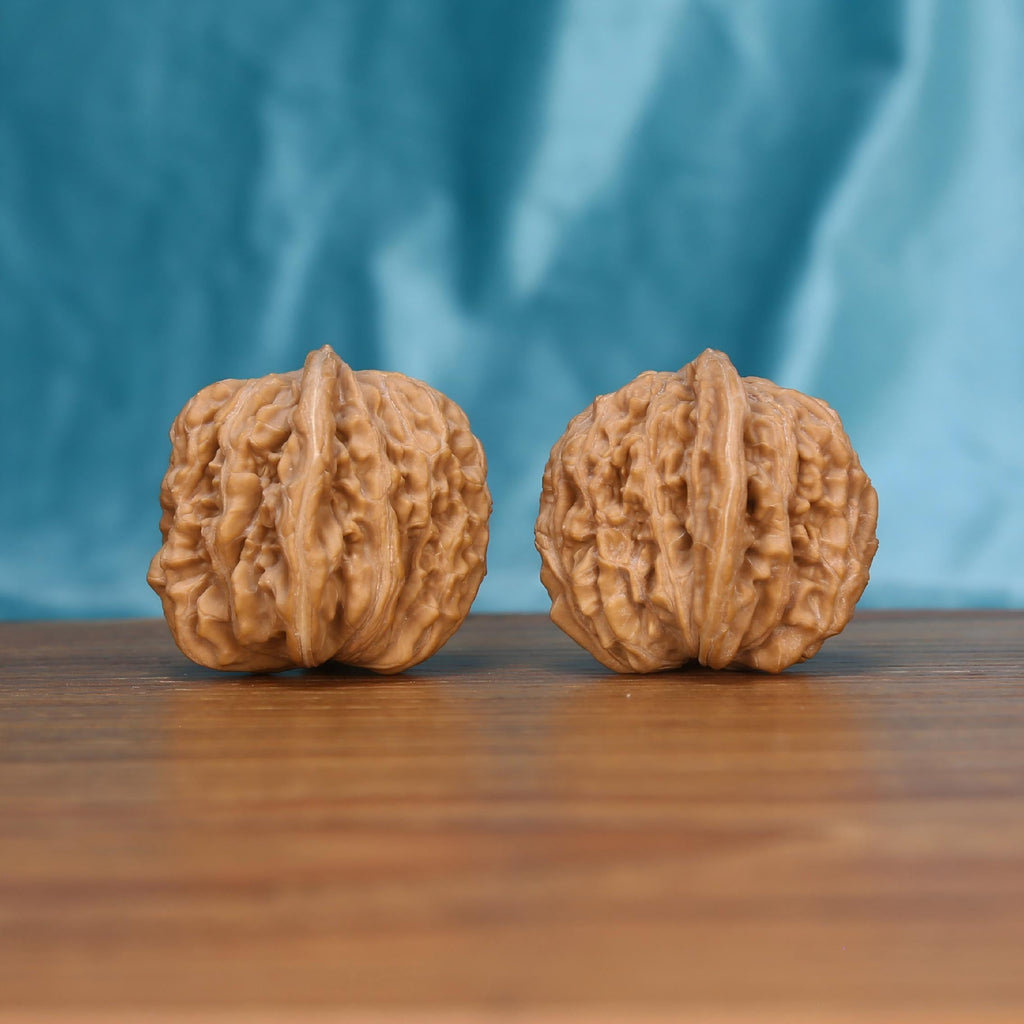 Spherical Bloom walnut pair on wooden surface – 23g dense raw botanical artifacts for screen fatigue relief
