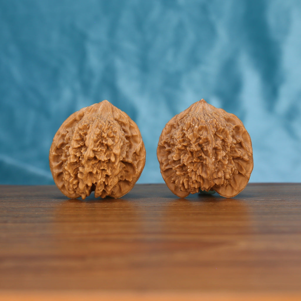 Man-Tian-Xing walnut set side profile on wood, blue background – titan-sized star constellation grain detail