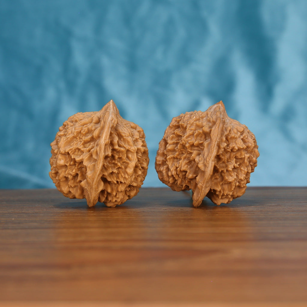 Single Man-Tian-Xing wenwan walnut on wooden surface, blue background – bold star-studded natural texture close-up