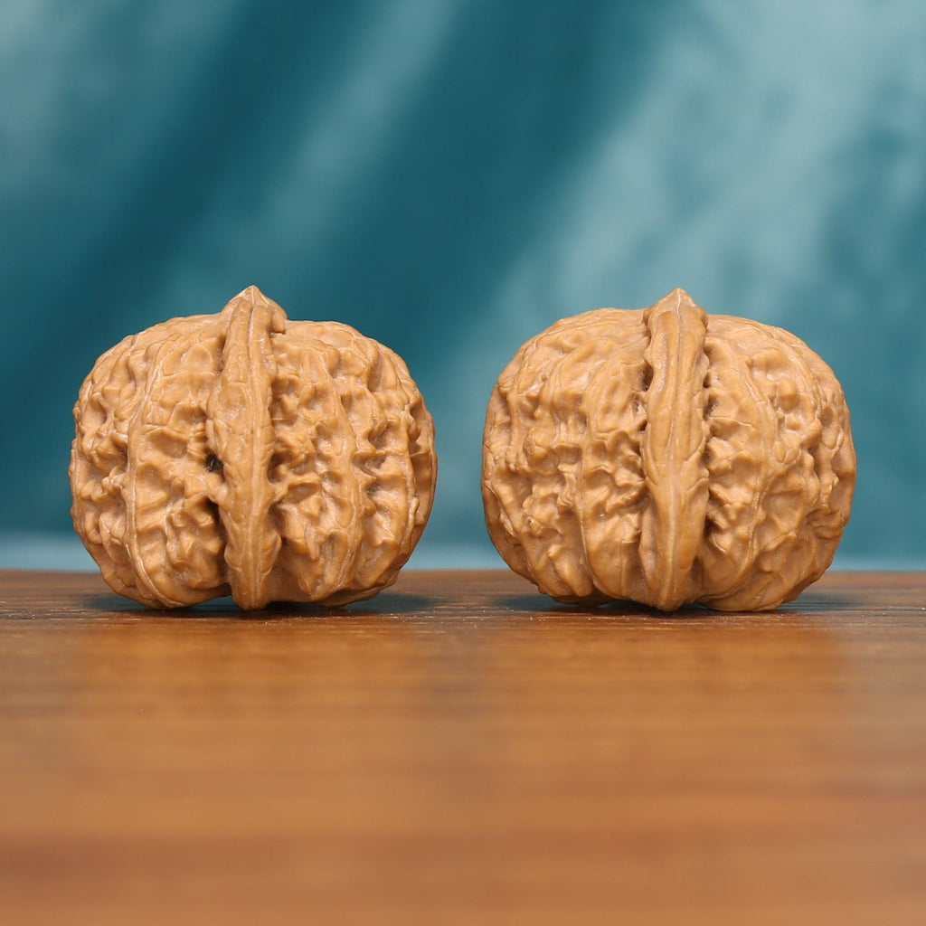Detailed side view of The Ivory Lion Wenwan walnuts with pronounced ridge patterns and natural variation.
