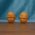 Pair of 163 wenwan walnuts standing upright with raised bands across their shells
