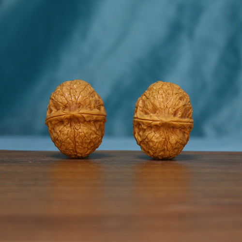 Pair of 163 wenwan walnuts standing upright with raised bands across their shells
