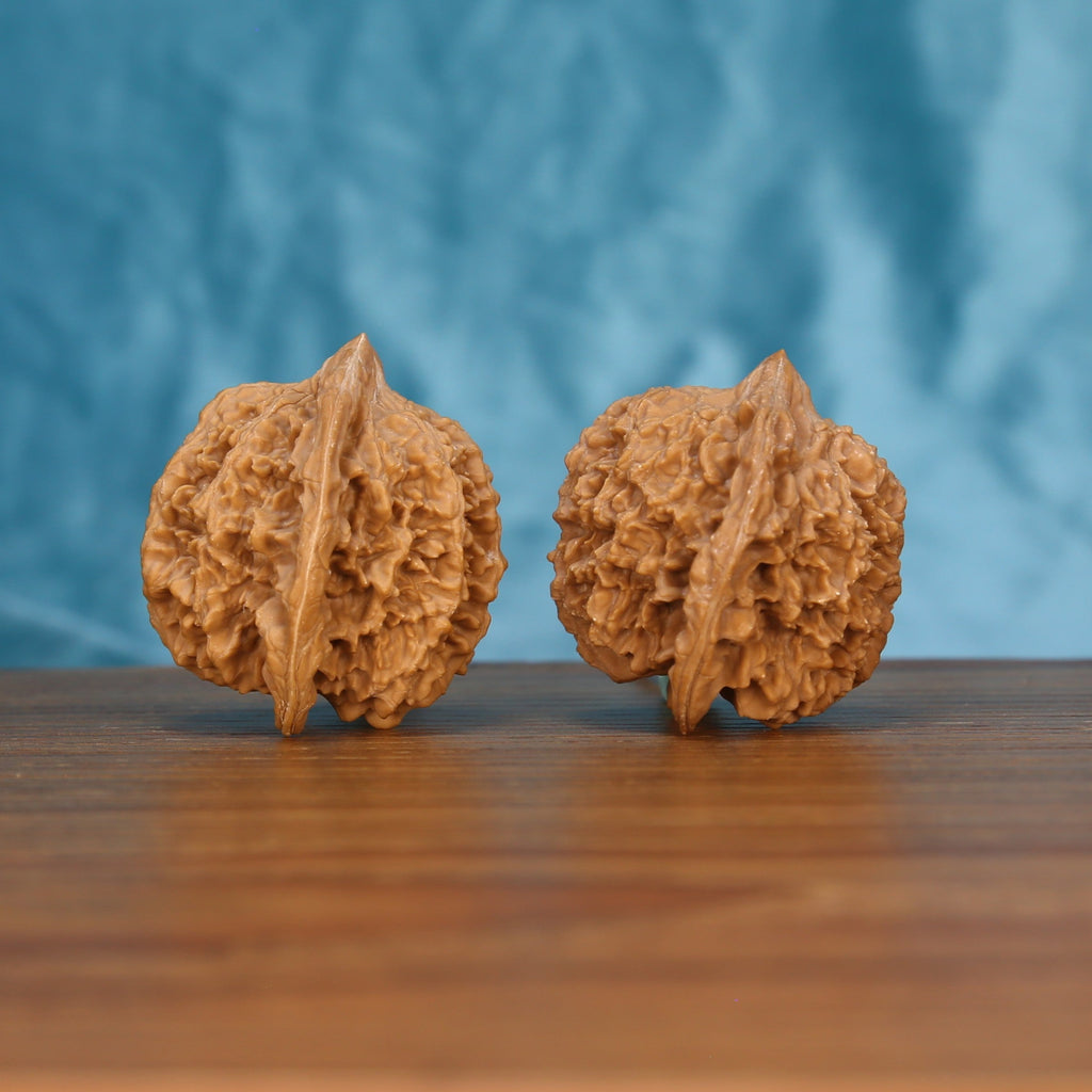 Man-Tian-Xing wenwan walnut pair alternate angle, blue background – symmetrical astral titan ridge pattern