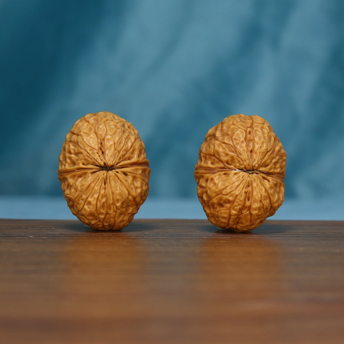 163 wenwan walnut pair showing their tan surfaces and horizontal ridges
