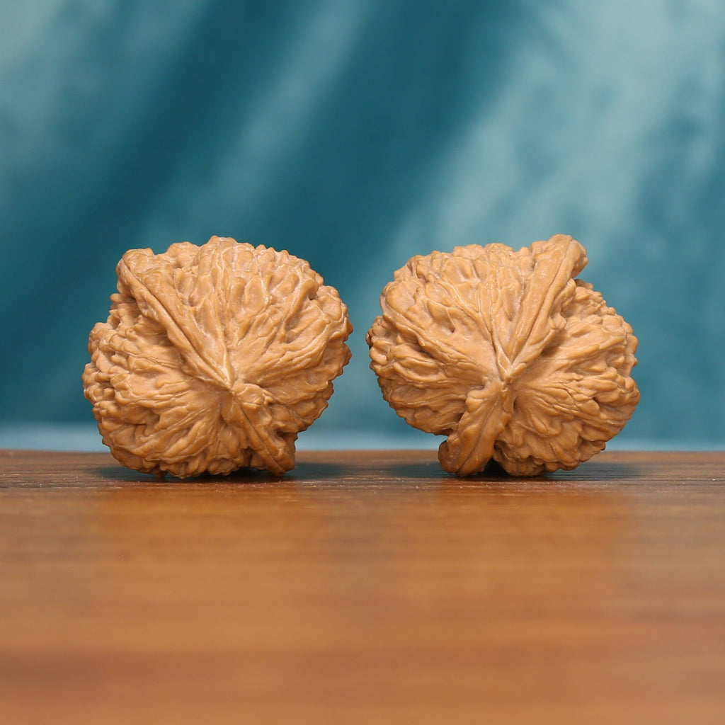Rear view of The Ivory Lion Wenwan Walnut Set displaying the walnuts’ sculpted surfaces and compact bases.
