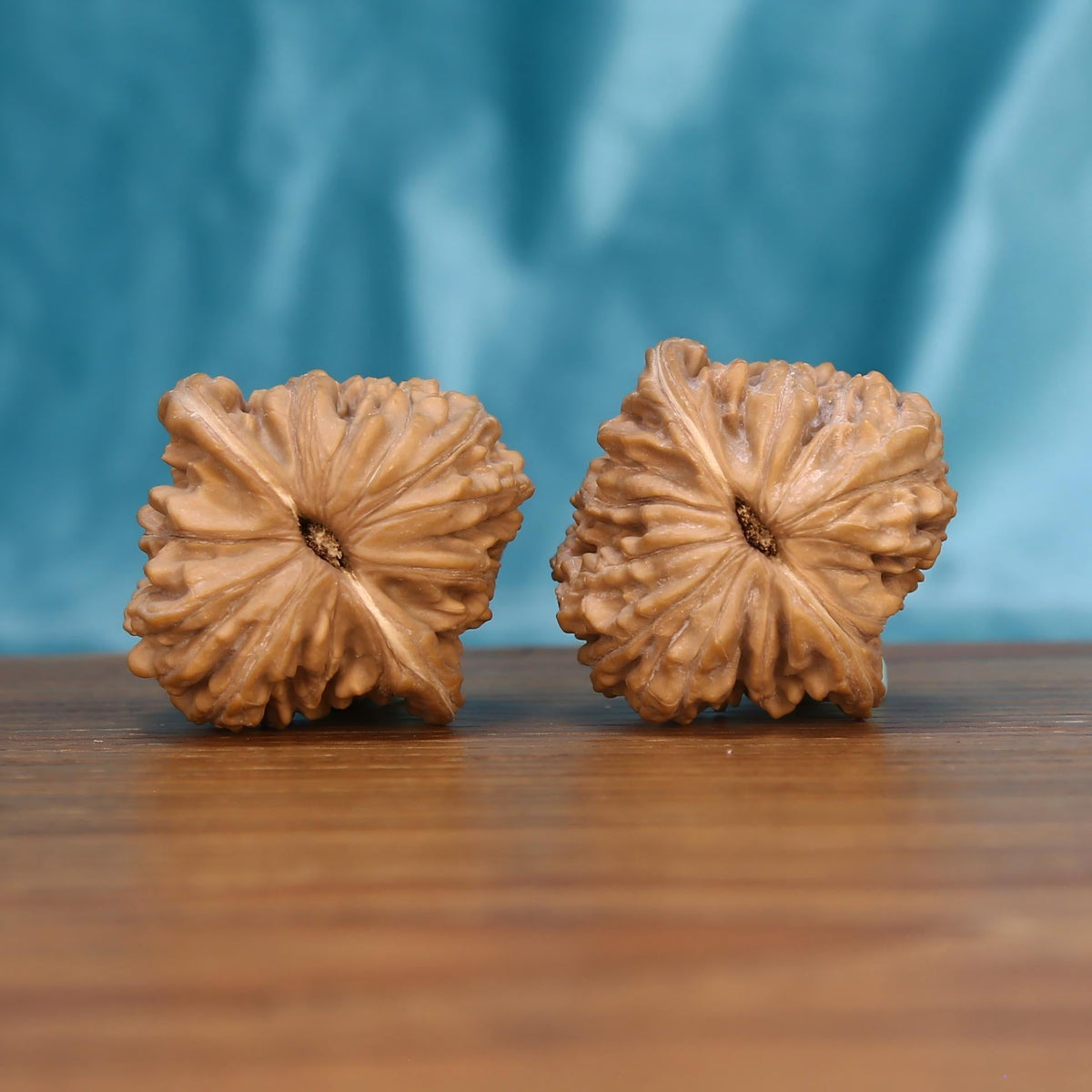Si-Zuo-Lou walnut botanical artifacts by mistbodhi – wild-harvested starry crest cultivar for mindfulness
