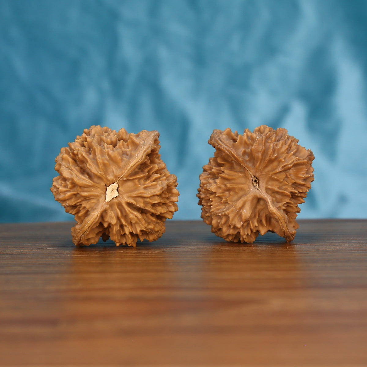 Man-Tian-Xing walnut pair bottom view on wood – natural constellation base pattern, Astral Titan premium set