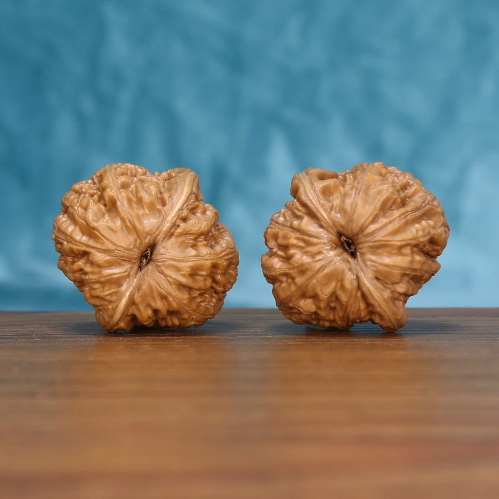 Top view of the Pinggu Ingot wenwan walnut pair 6160, showing the star-shaped ridged crown of each walnut
