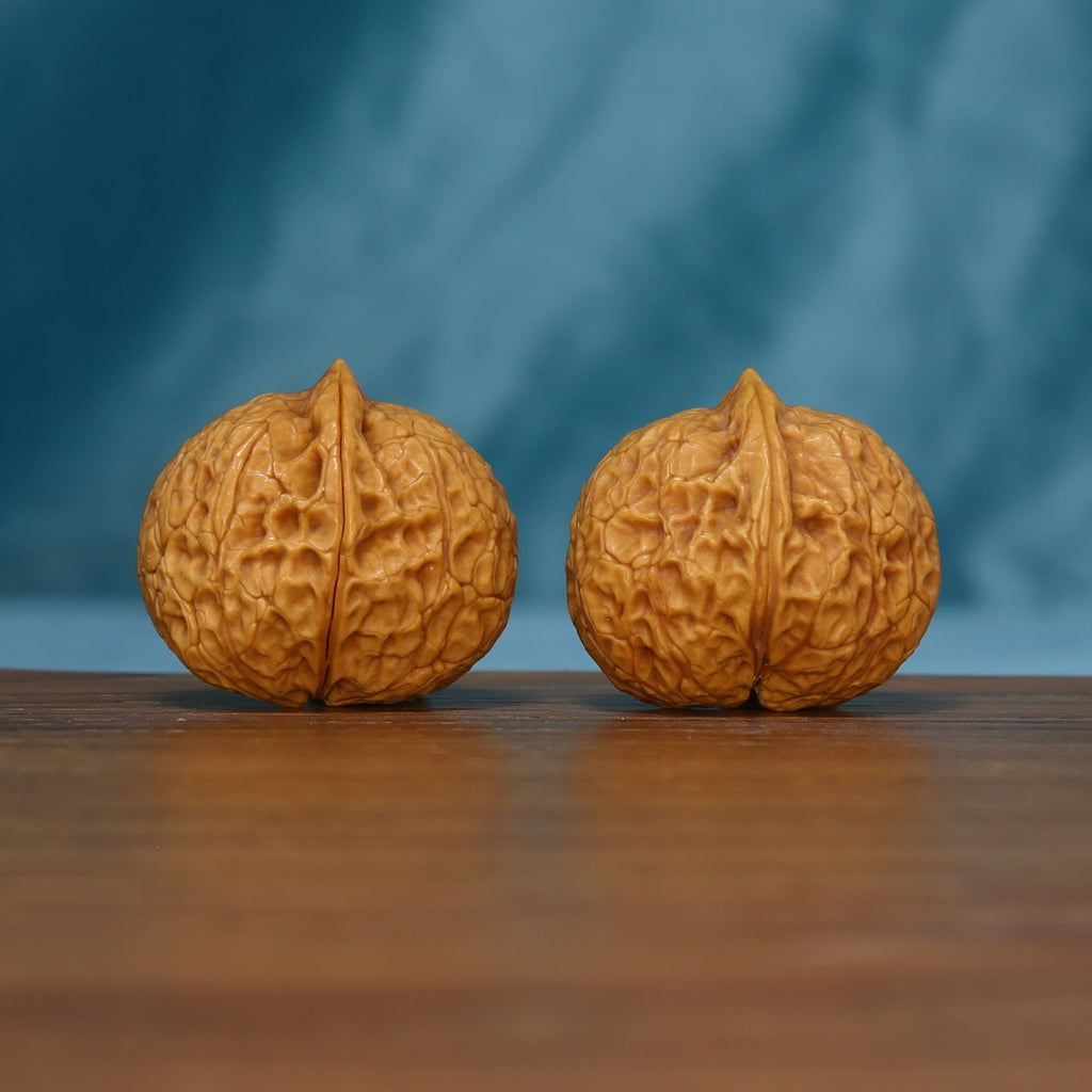End view of two 163 wenwan walnuts showing central grooves
