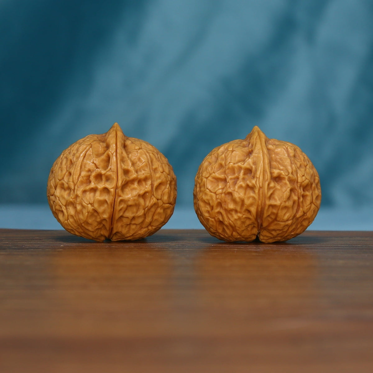 End view of two 163 wenwan walnuts showing central grooves
