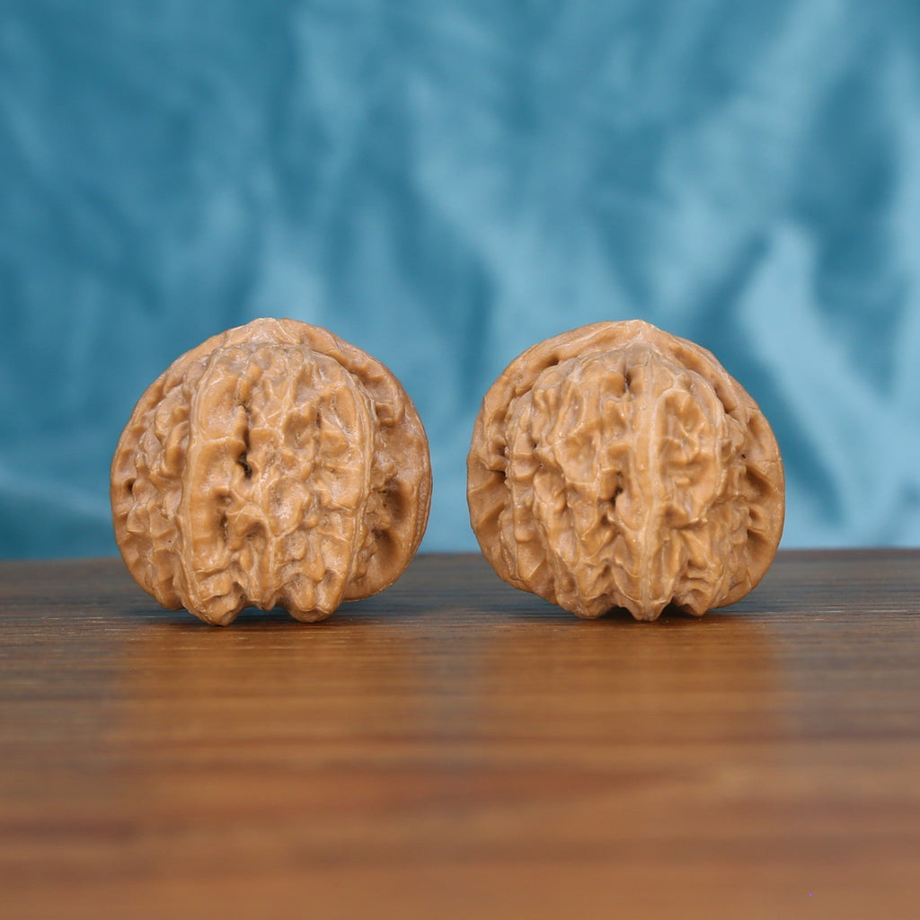 The Alabaster Mane | “Bai-Shi-Zi” Walnut Set 5365