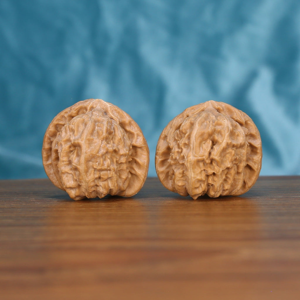 Bai-Shi-Zi walnut set side profile on wood, blue background – lion mane ridge grain detail