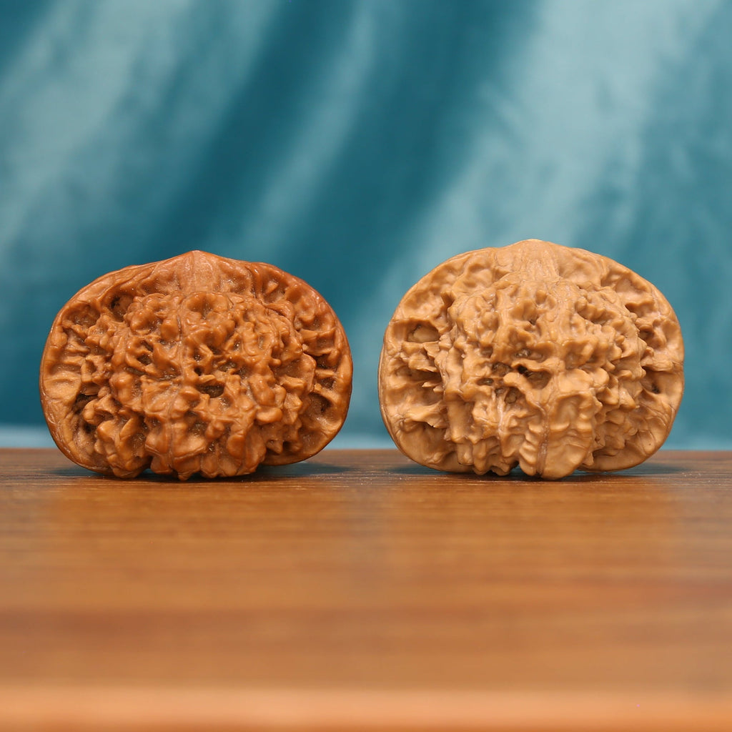 Angled front view of The Yin-Yang Crown Wenwan walnuts highlighting their rounded profiles and contrasting natural colors.

