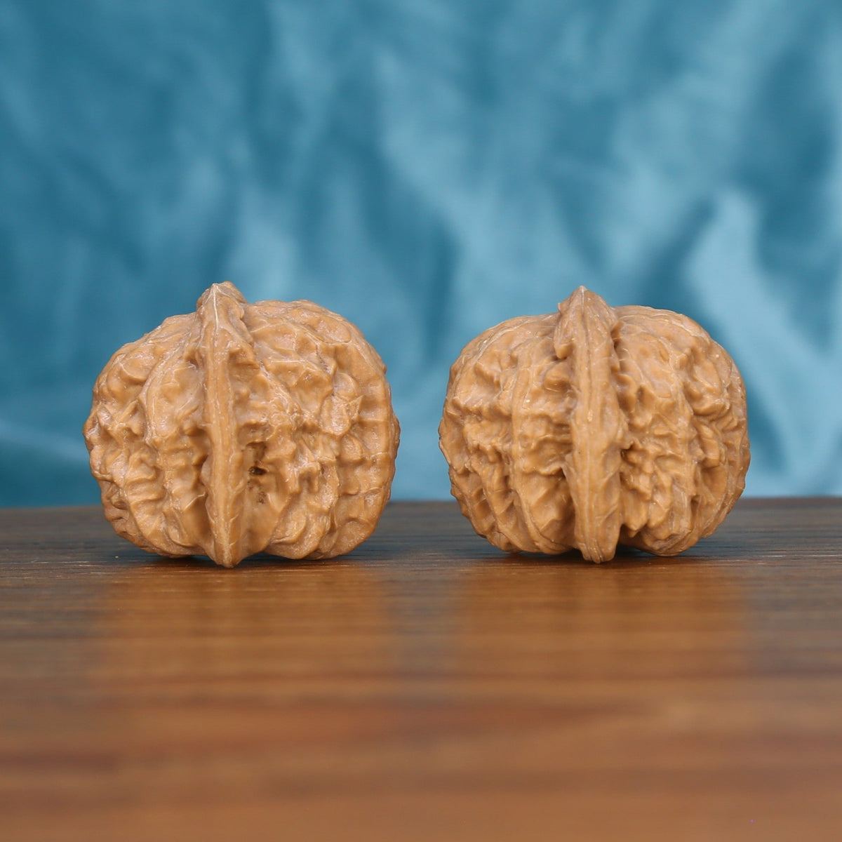 Single Bai-Shi-Zi wenwan walnut on wooden surface, blue background – intricate lion mane natural texture