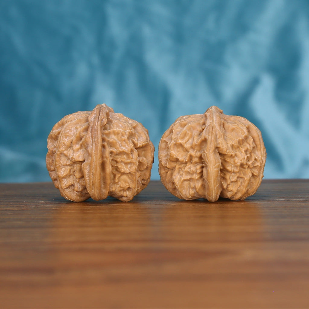 Bai-Shi-Zi wenwan walnut pair alternate angle, blue background – symmetrical mane ridge pattern