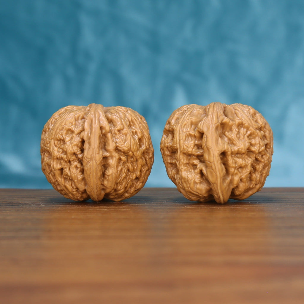 Side view of a General Wenwan walnut pair on a wooden surface
