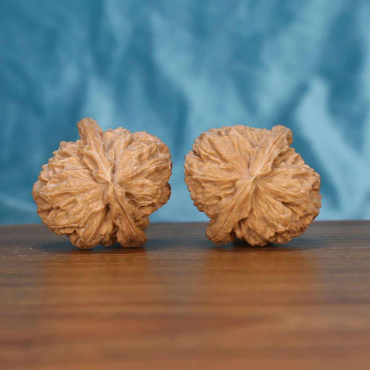 Single Bai-Shi-Zi wenwan walnut bottom view on wooden surface – natural base and mane texture detail