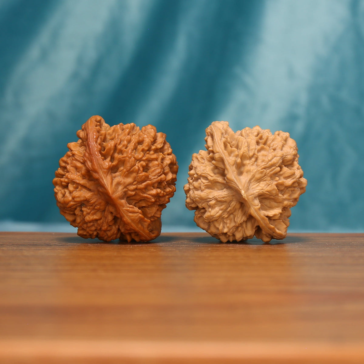 Rear view of The Yin-Yang Crown Wenwan Walnut Set showing the contrast between the two sculpted walnuts.
