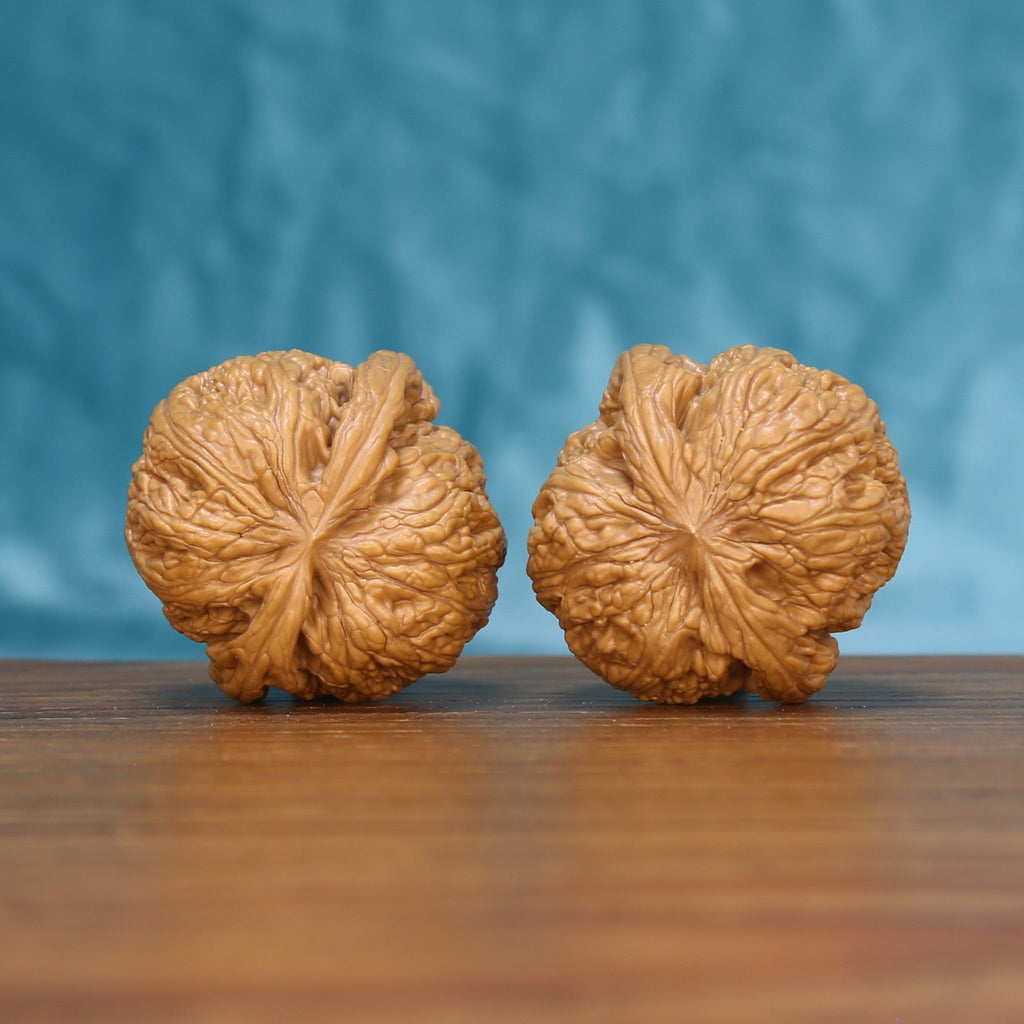 Back view of two General Wenwan walnuts showing distinct natural shell patterns

