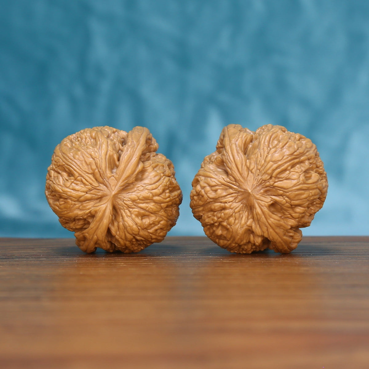 Back view of two General Wenwan walnuts showing distinct natural shell patterns
