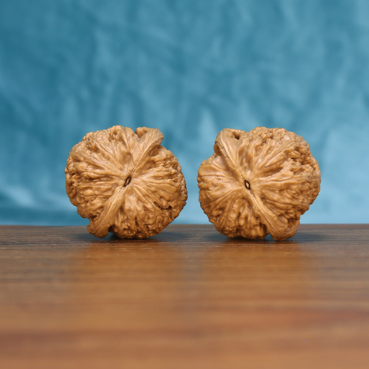 Bottom view of a matched General Wenwan walnut pair showing natural base details
