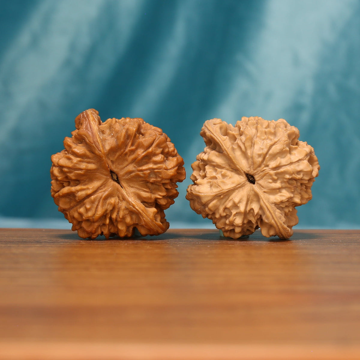 Close rear view of The Yin-Yang Crown Wenwan Walnut Set highlighting the walnuts’ contrasting colors and sculpted texture.
