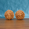 Pair of Qinhuangdao Wenwan walnuts standing upright on a wooden surface against a blue background
