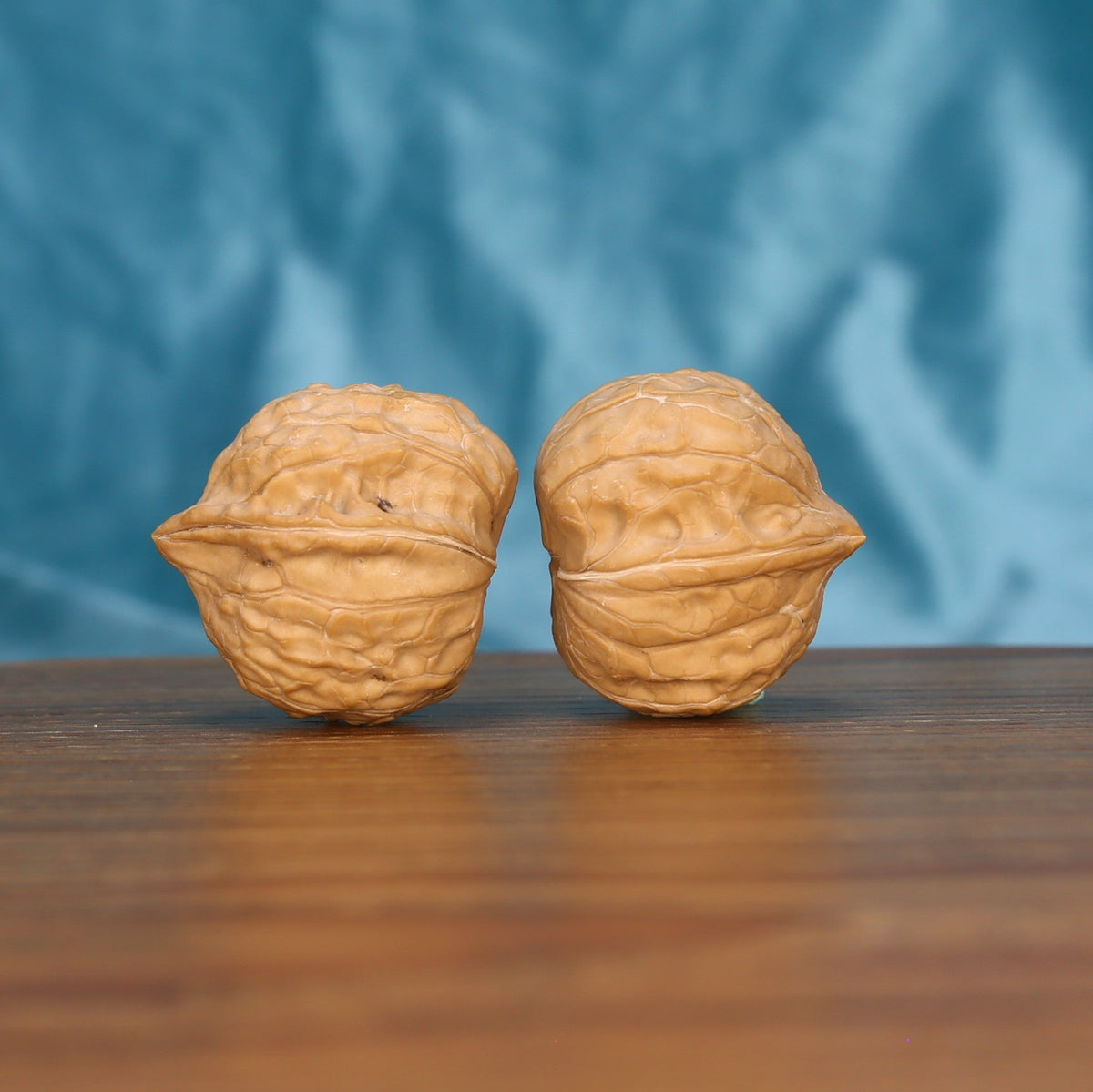 Single Gui-Jia-Wen wenwan walnut on wooden surface, blue background – intricate carapace natural texture close-up