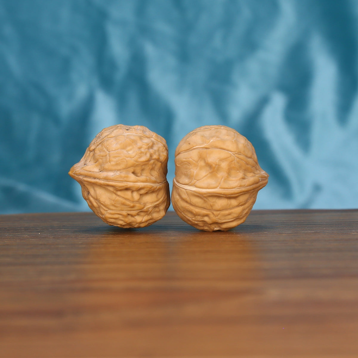 Gui-Jia-Wen wenwan walnut pair alternate angle, blue background – symmetrical tortoise shell ridge pattern