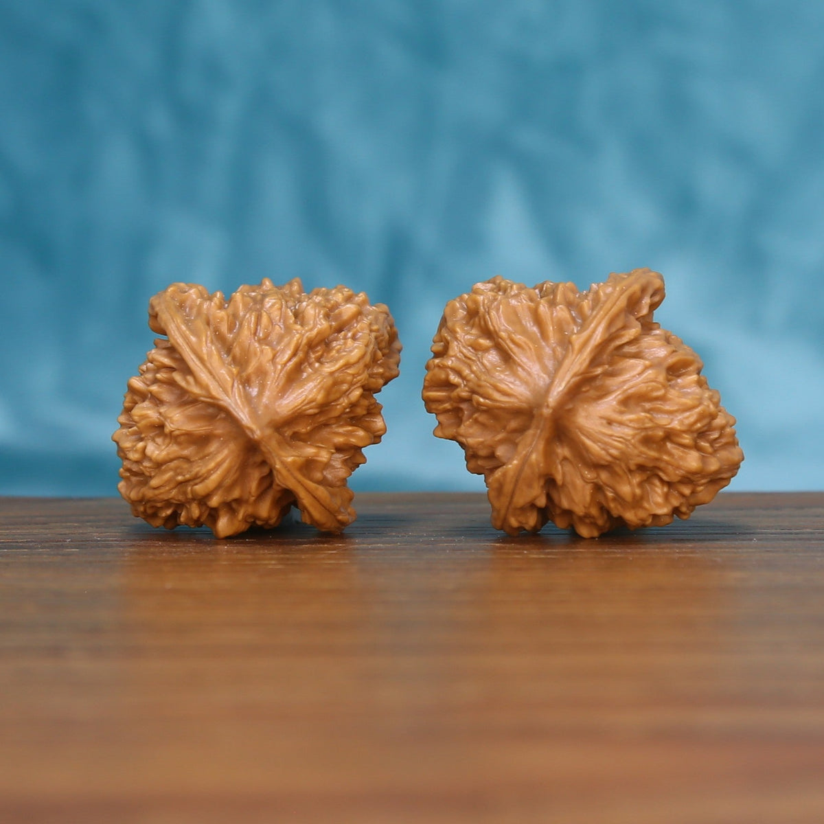 Bottom view of a Qinhuangdao Wenwan walnut pair showing natural base patterns
